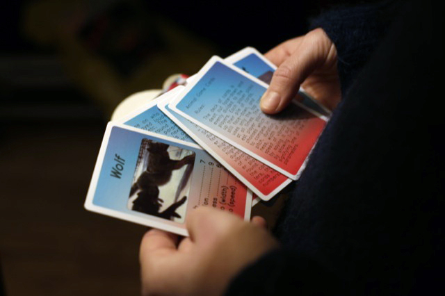 Animal Game Cards