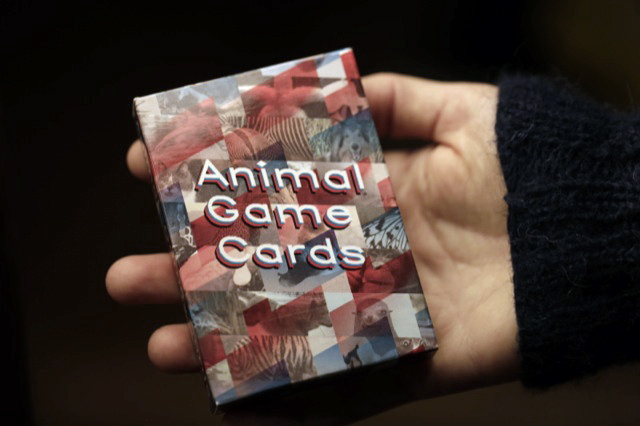 Animal Game Cards